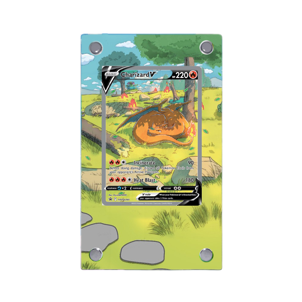 Umbreon Charizard Raikou Pokem - огляд і ціна Model Kit Umbreon